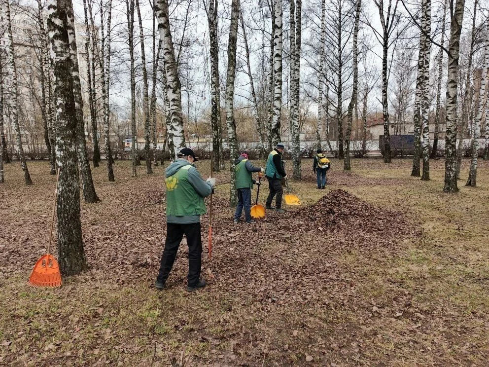 В Королёве за две недели месячника чистоты вывезено более 3 тысяч кубометров мусора В Королёве за две недели месячника чистоты вывезено более 3 тысяч кубометров мусора