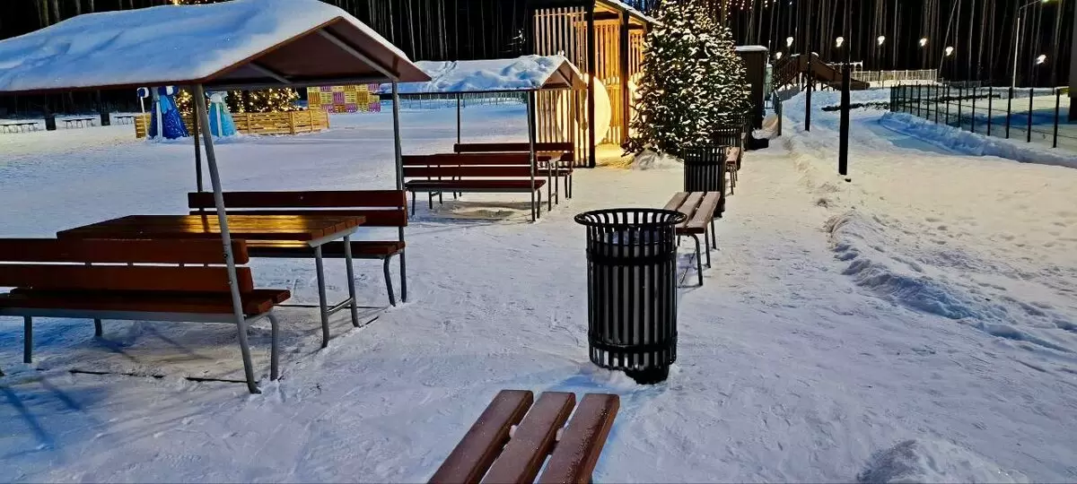 Пути к чистоте: как команда заботится о зимних парках