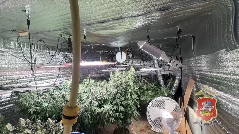 � ������������ ������ ����������� ��������� �������, �������������� � ����� ���������� � ���������� �������� ������