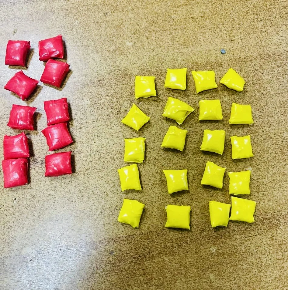 На железнодорожной станции Крюково транспортные полицейские задержали уроженца ближнего зарубежья с крупной партией наркотиков