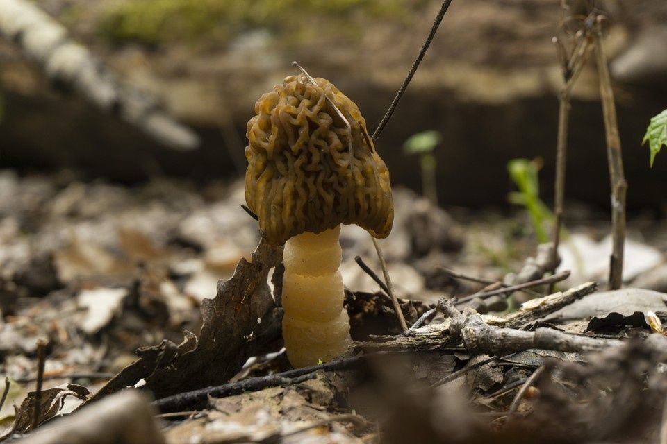 ������� ����� � ������������ ������: ������ ������� ��� � ����