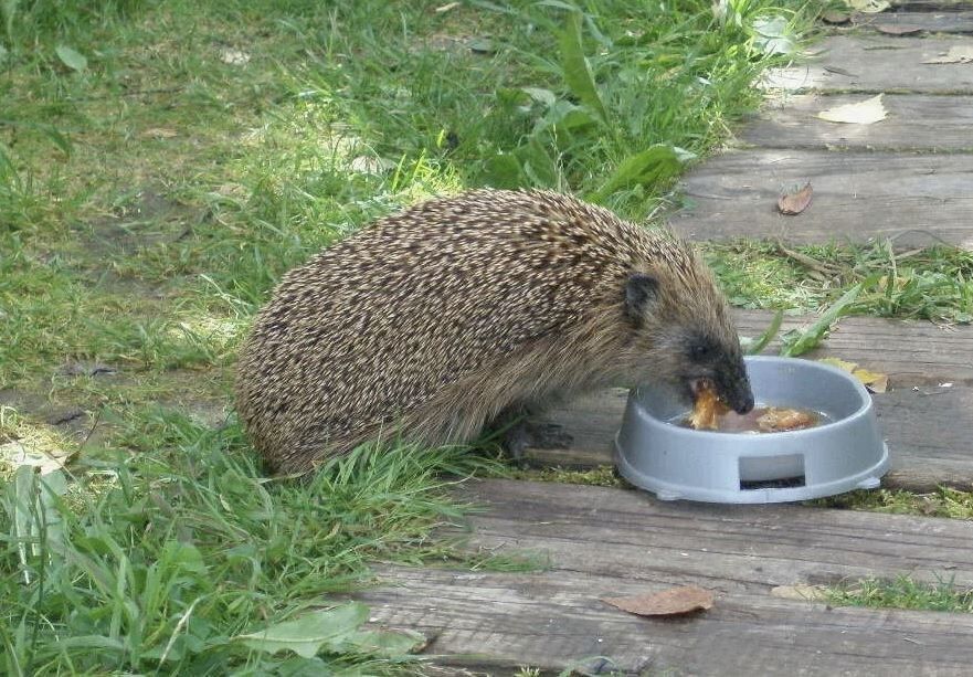 ��� �������� ������ �� ����: ������� ������ ��� ���������� ������