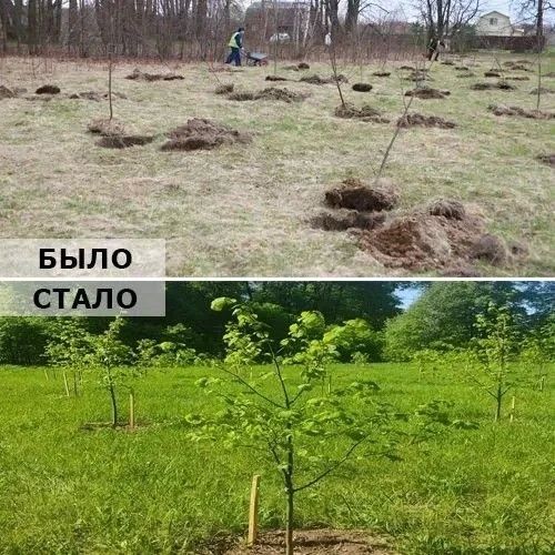�������������� �����: ��� ��������� ����� � ���� �������� ���������� ������ �����������