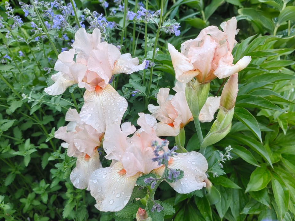 ��������� �� �������: ��� �������� ������ �� ������� ����������