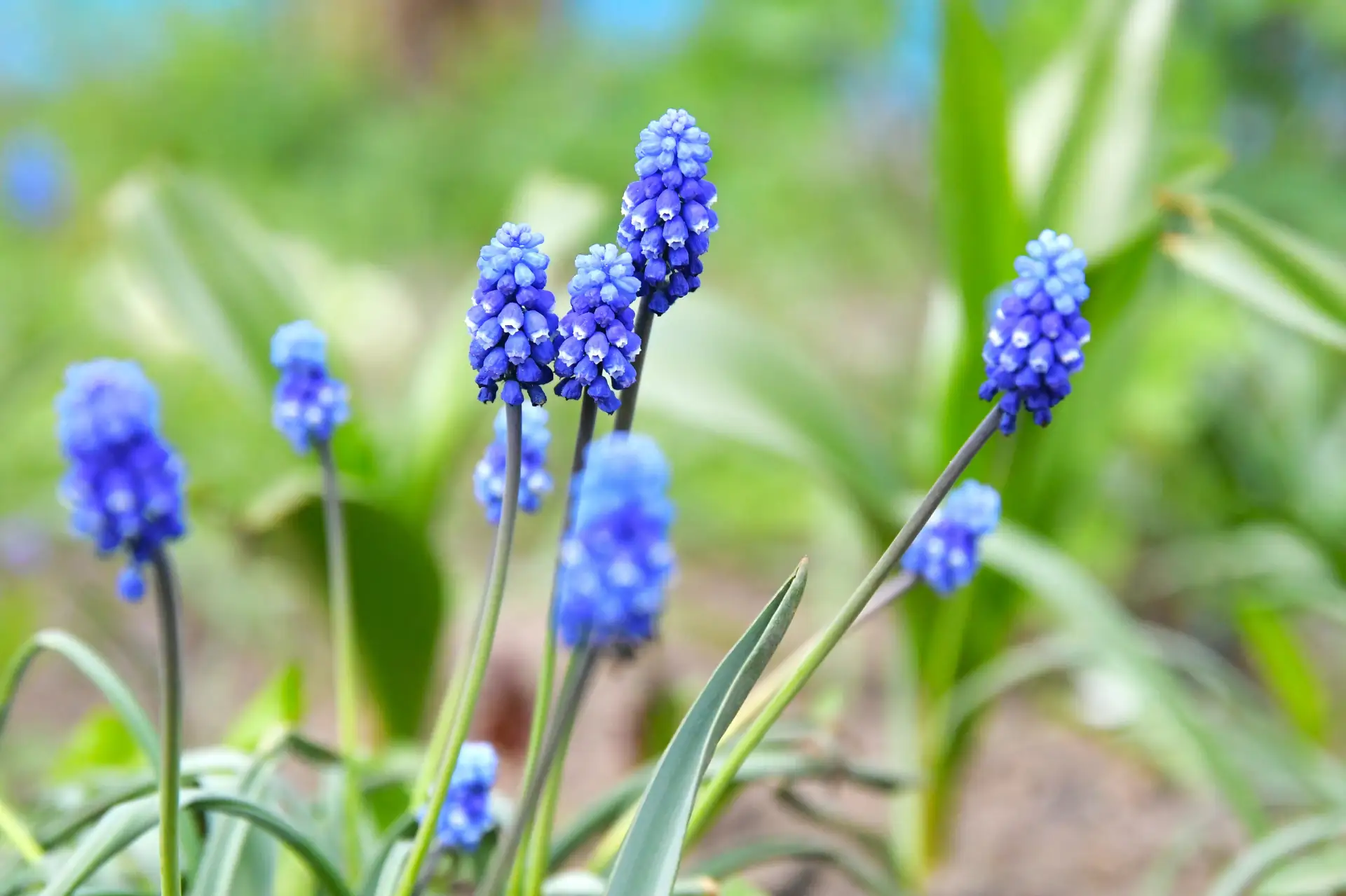 Сегодня ещё один хороший повод сделать мир чище
