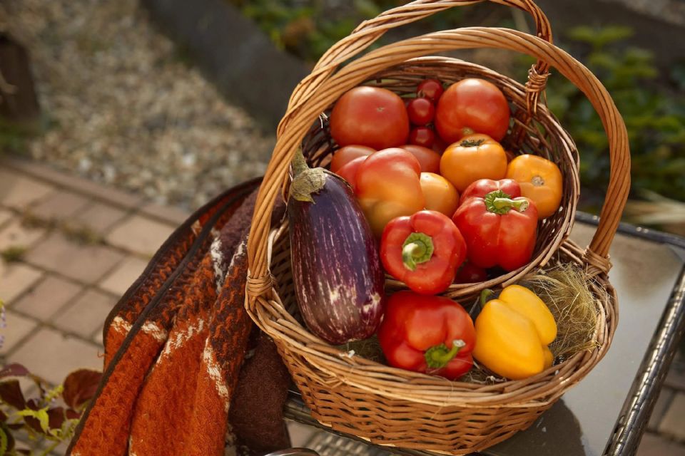 ��� ���������������: ��� ������ ���������� �������� �������