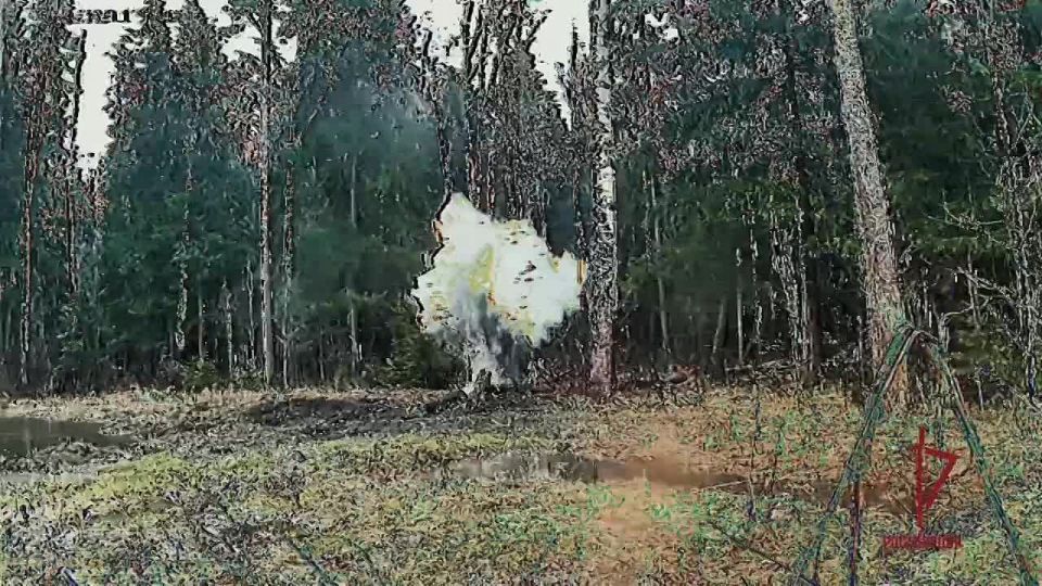 ���������� ����������������� ���������� ������� �������-����������� ������� � �����������