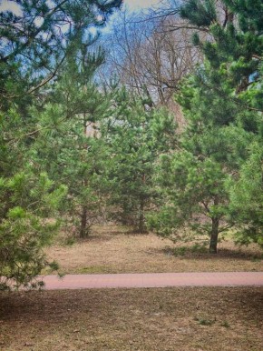 Доброе утро, красногорцы!. Сегодня 16 апреля, четверг