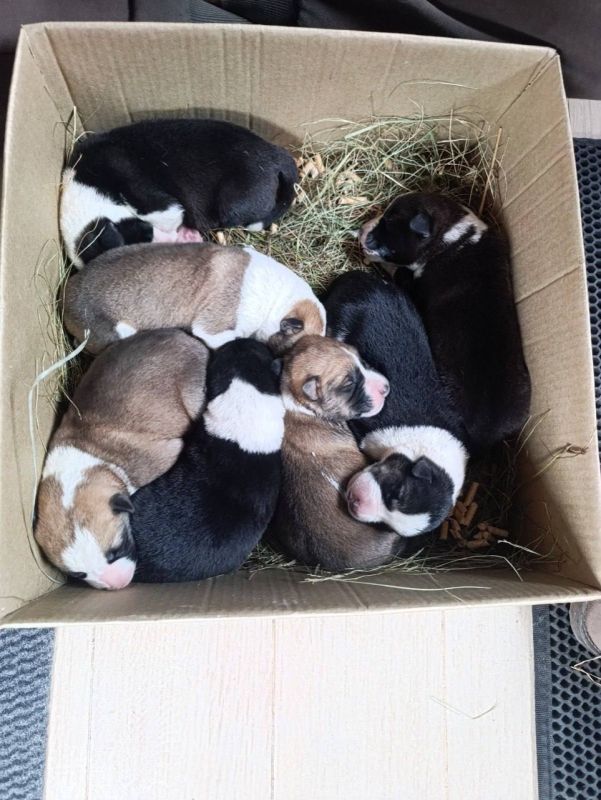 ������������� ����� ��������� � �������� ������