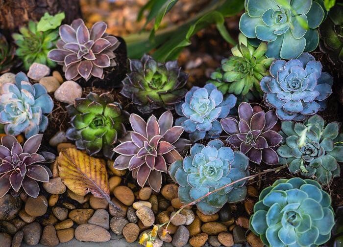 ����������: ��������� �������� ��� ���������� ����������