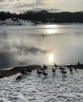 ������ ����, ��������!. ������� � ��� ����� ����, ����� ���� �������� ������������� ����, ������� ����� ������ � ����������� �� ������ ��������