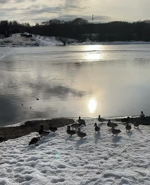 Доброе утро, Серпухов!. Четверг — тот самый день, когда пора доделать незавершённые дела, подбить итоги недели и настроиться на уютные выходные