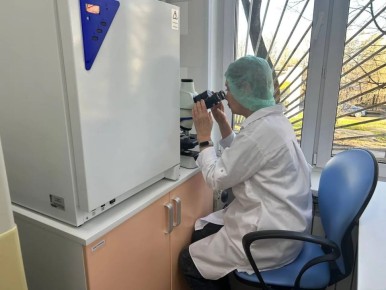 �������� 20 ������ � ������ ���������� ������������ ���� ������