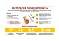 Роспотребнадзор информирует Воскресенский территориальный отдел Управления Роспотребнадзора информирует о профилактике лихорадки западного нила