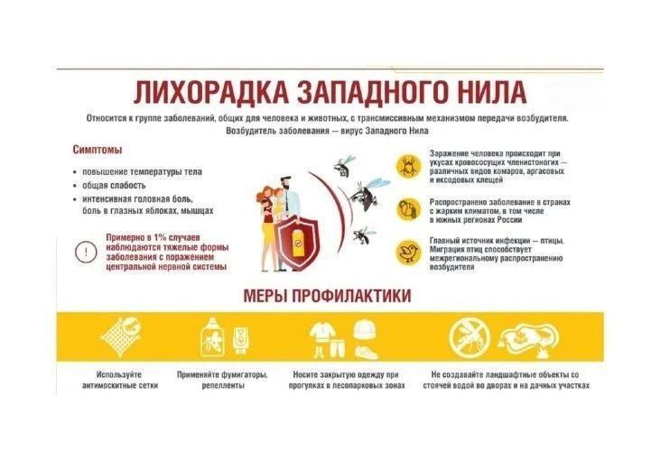 ��������������� ����������� ������������� ��������������� ����� ���������� ���������������� ����������� � ������������ ��������� ��������� ����