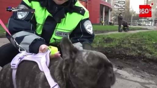 �������������� ������� �� ����� �����