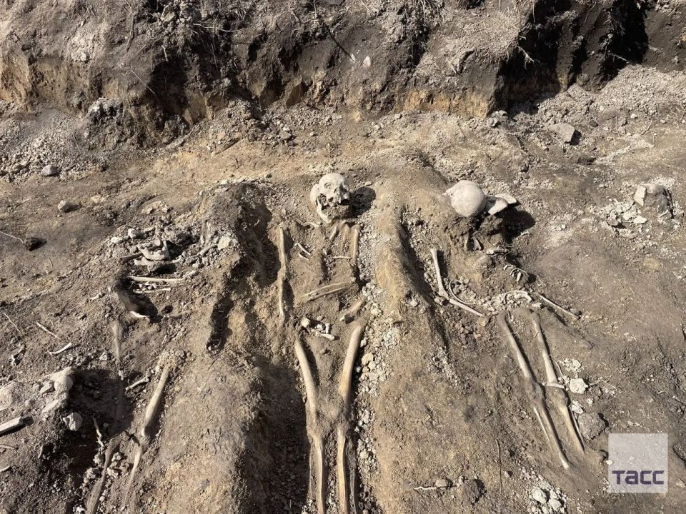 �������� ����������� ������� ���������, ������� ��������� � ���� ���, ����� � ����������, ����� ����