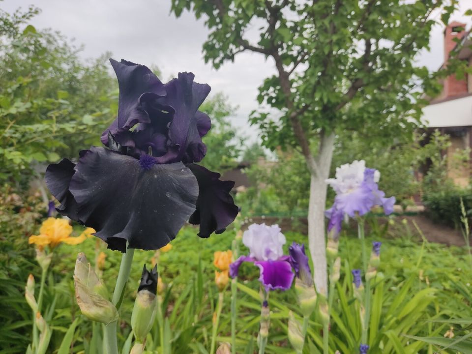 ��� ������� ���������� ����� �������� ��� ������ ����