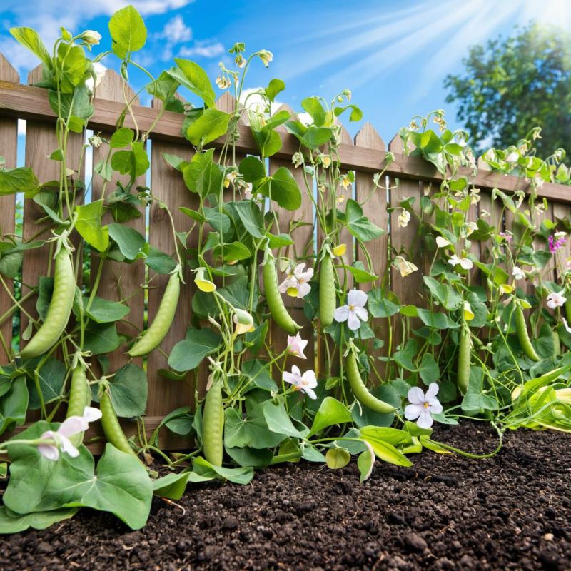 ��� ���������� ������ ��������� ������� ��� �������� ������?