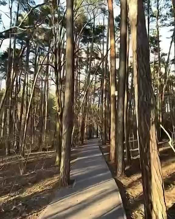������ ����, ��������!. ������� ��������� � �������� ������ ����� ���������