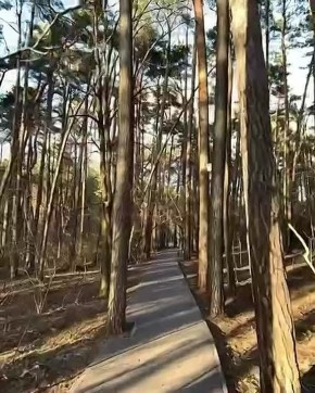 ������ ����, ��������!. ������� ��������� � �������� ������ ����� ���������