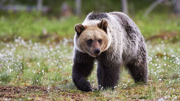 ������� ������ �������� � ����� � �����������