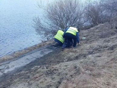 � ��������� ������ ������ ������������ �������� ������ �� ������� ��������� �����