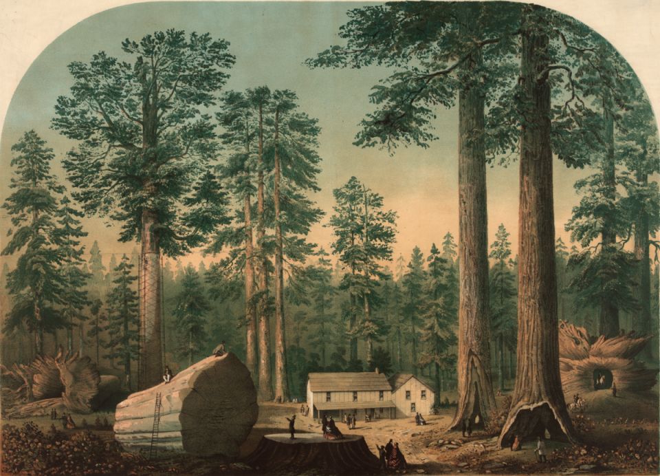 ��� ������������ ������������ �� ���� ��������: �������, ����� � �����������