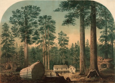 ��� ������������ ������������ �� ���� ��������: �������, ����� � �����������