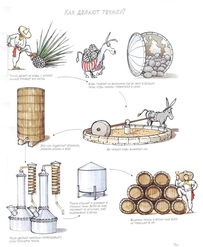 ������: �� ����� �� ������ � ������� ������� �������� �������