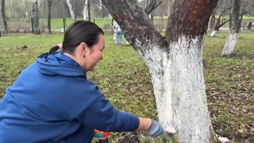 � ������� ����������� � ��� ������: � ������ ������������ �������� ����������