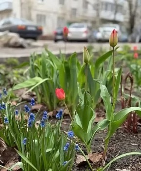 ������ ����, ��������!. ��� � ��������� ������� � ��� ����� ��������� ����, ����� ����� �������-�� �����������, ��������� � ��������� ����� ���� � ����, ��� ������������ ������