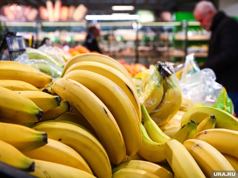 ��� ���������� �������� ���������: 10 ��������� ��� ��������