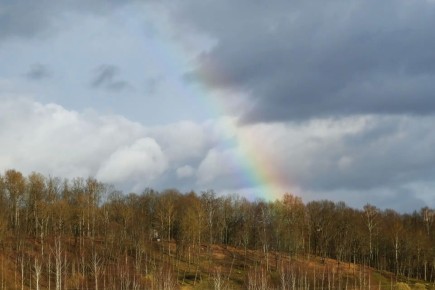 ����, ����� �� ���� ������� ������