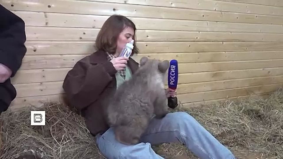 � �������� ������ ���� ����� ����������, ��� ���� ����� ����������