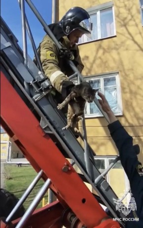 � ������ ��������� �������� �� �������� ��������� � ������