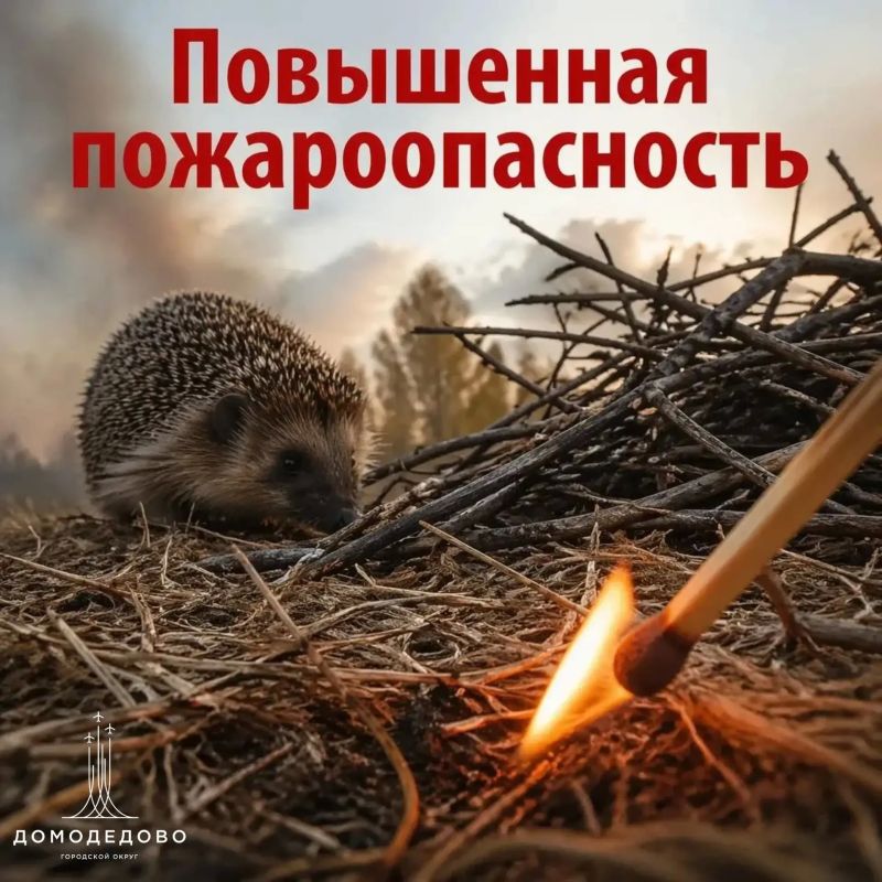 � 20 ������ � ����������� �������� ����������� ������ ��������������� �����