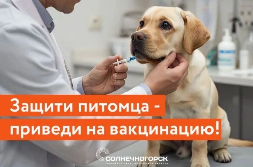 ����� 400 �������� �������� ������������� � �������������� �� ��� ������