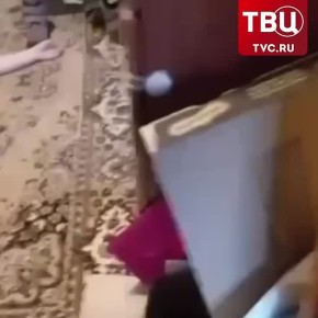 ���� ����������� ������������� ���� � �����������, ������ ��� ��� � �����