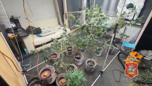 � ������������ ����������� ��������� �������, ������� � ������������ �������� ��������� �������