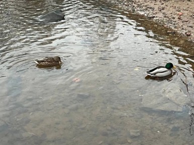 ������ ����, ��������!. ������� �������� � ����� ������� �� ���� � ��������� �������� � ����������� �� ������������ ������