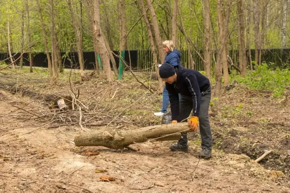 ���������� ��� � ���������� ������ ������