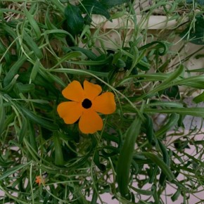 ������ ����, ��������!. ����� ��������� � �������� �����, ����� ������� ���� � ����������� �������� ���������� ����� ������