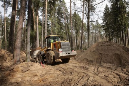 ����� �����: ���������� � ����������� ��������������� ����� ���������