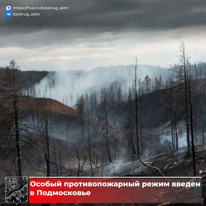 � 20 ������ �� ���������� ���������� ������� ������ ������ ��������������� �����