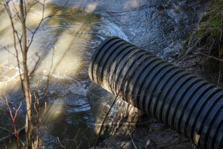 � ��� ������� ������� ������������ �� �������� �����������