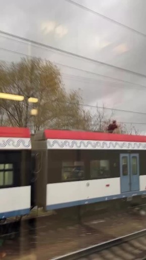 ���� � ������: �������� �������� �� ����� ������� �� ���