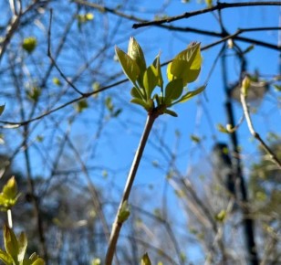 ������ ����, �����������!. ������� 24 ������, �������