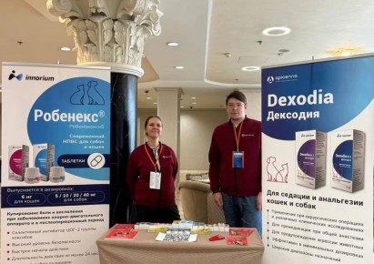 �������� ��������� �� �������� ������� ������� � XXI ������������� ����������� �� ������������ ��������������, �������������� � ����������� ������� ������ �������� ��������