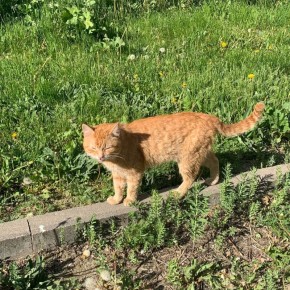 ������ ����, ��������!. ������� ��������� � �������� ������ ������� ������! ����� ����� ��������� ������ � ��������� �������, ����� �� �������� ��������� ������������� �� ����� � �� ������ � �����